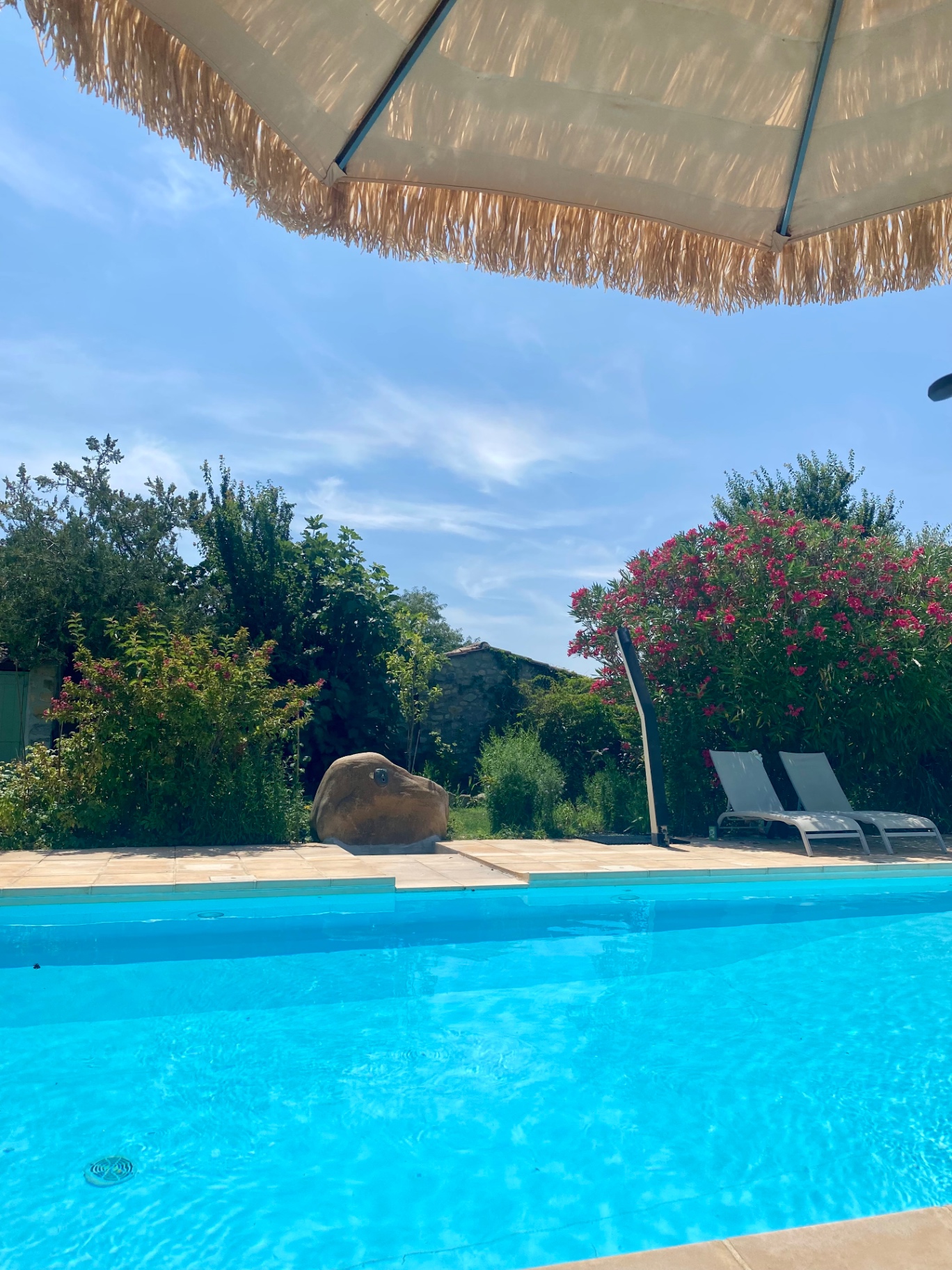 Zwembad met rots, oleander en rieten parasol