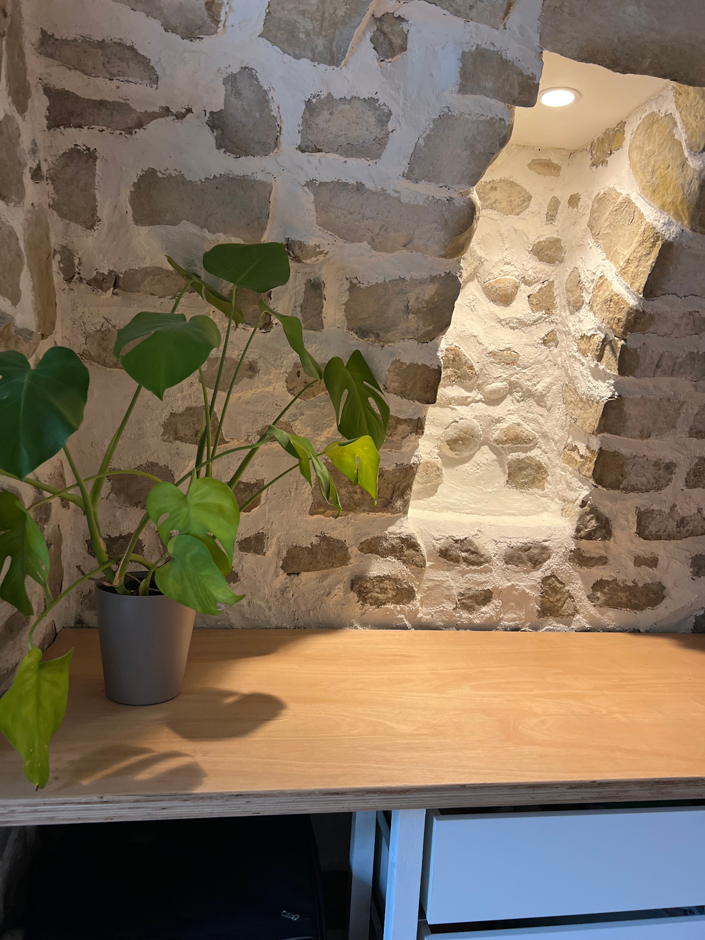 Monstera tegen de ruwe stenen muur in de gîte