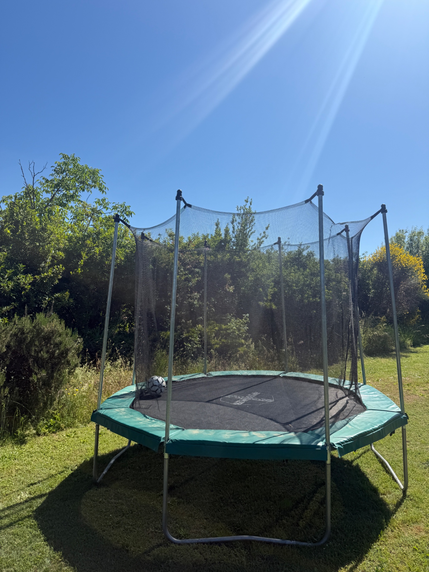 Trampoline met veiligheidsnet in de zonnige tuin