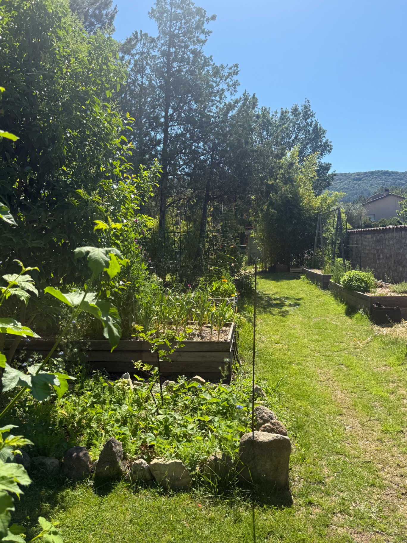 Moestuin met houten bakken en bloemen